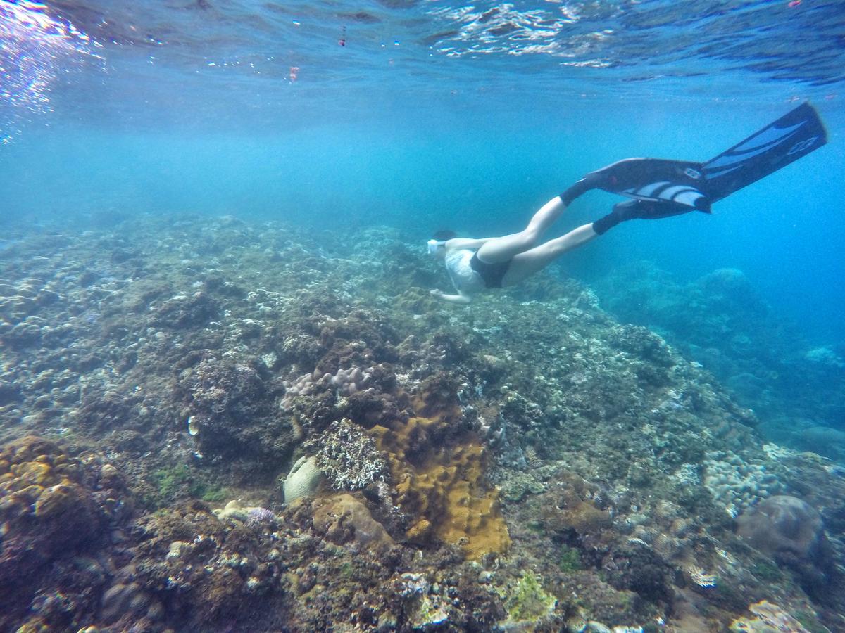 Imanuel Surfing B&B Heng-ch'un Εξωτερικό φωτογραφία